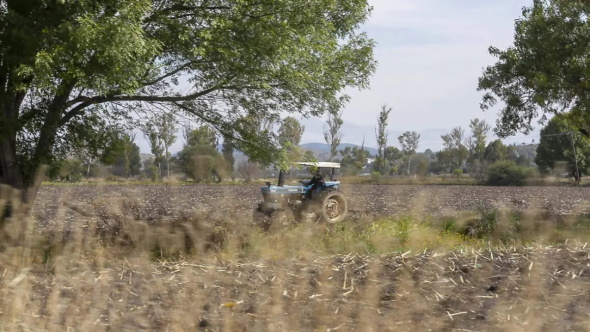 Productores temen que se llegue a la temporada de siembra de primavera-verano sin que esté definida la entrega de apoyos para el campo. Foto César Ortiz